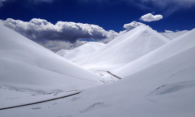 Dazzling Surveillance