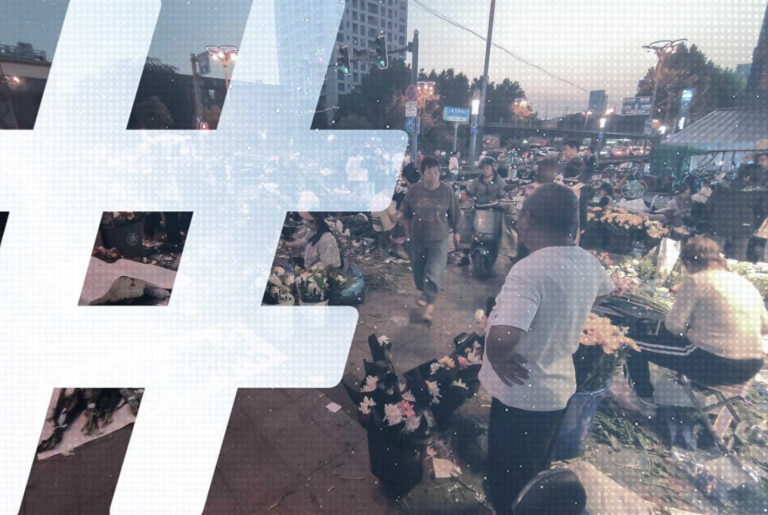 Super Swimmer Mao Zedong - China Media Project