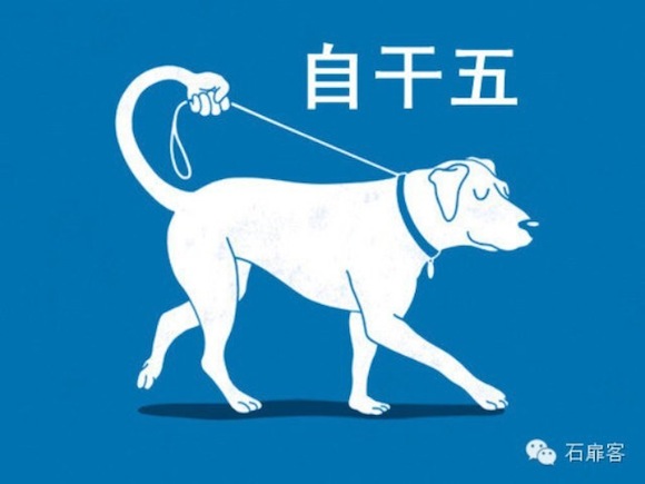 self-leading dog